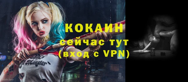 дживик Абинск