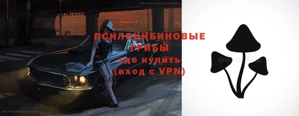 дживик Абинск