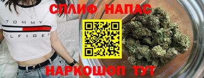 jwh Гатчина
