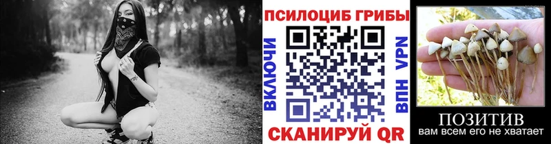 Псилоцибиновые грибы прущие грибы  Кисловодск 